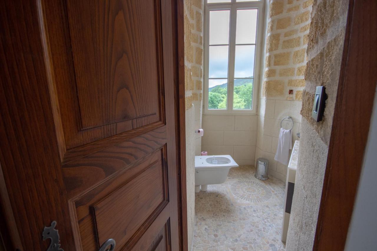 Chateau De Druon Sévignacq-Meyracq Dış mekan fotoğraf